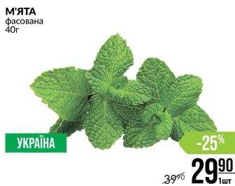 М'ЯТА фасована 40г