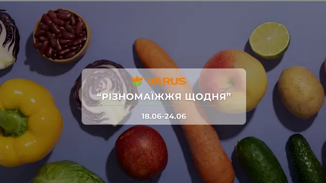 Акція "Різномаїжжя щодня" від мережі магазинів Варус 18 - 24 червня: знижки до -66% на продукти